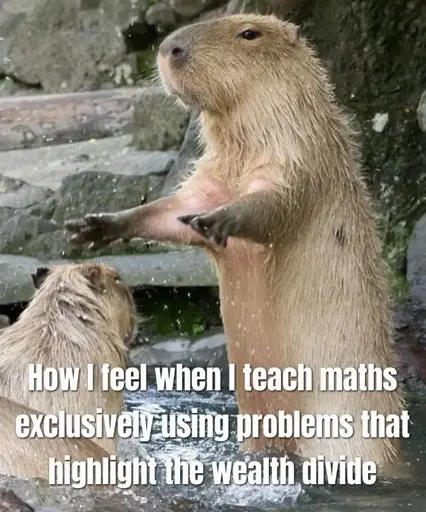 Capybara standing over another in a posture that suggests preaching. Captioned with the text "How I feel when I teach maths exclusively using problems that highlight the wealth divide".